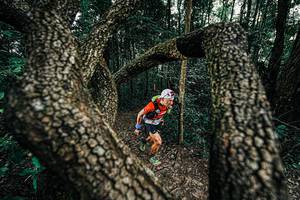 BIB: 
                            <button type="button" onclick="openModal(25389637)" class="btn btn-primary btn-sm float-right btn-popup" data-toggle="modal" data-target=".modal-high-quality">
                        <i class="fas fa-shopping-cart"></i> Add to Cart
                    </button>
                                            <button type="button" onclick="isThisMe(25389637, true)" class="btn btn-success btn-sm float-right btn-popup btn-isme hidden" data-toggle="tooltip" data-placement="bottom" title="นี่คือรูปของคุณใช่ไหม คลิกที่นี่เพื่อเอาเข้าอัลบั้ม">
                        <i class="fas fa-plus"></i> Add to album
                    </button>
                    <button type="button" onclick="isThisMe(25389637, false)" class="btn btn-warning btn-sm float-right btn-popup btn-isnotme hidden">
                        <i class="fas fa-ban"></i> Remove from album
                    </button>